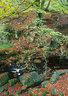 Padley Gorge