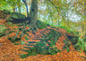 Padley Gorge