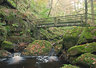 Padley Gorge