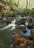 Padley Gorge