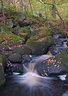 Padley Gorge