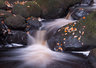 Padley Gorge