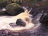 Padley Gorge 494_09