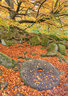 Padley Millstone