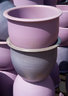 PlantContainers 0520