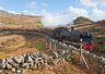 Steam Train Rhyd Ddu