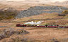 Steam Train Rhyd Ddu