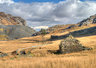 Rhosydd Stables
