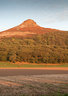 Rosebury Topping