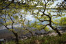 Loch Morar