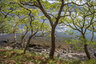 Loch Morar