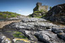 Castle Tioram_D810_012_1034