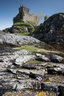 Castle Trioram_D810_012_1035