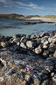 Sanna Bay