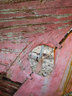 Boat Detail
