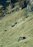 Skaftafell Hut 0076