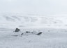 Snow And Boulders 0421