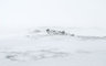 Snow And Boulders 0456