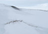Snow Drifts 0546