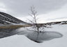 Snow Tree And Mountain 029_0028