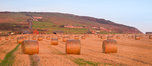 Straw Bales