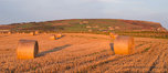 Straw Bales