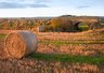 Straw Bales