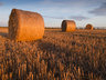 Straw Bales