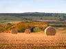 Straw Bales