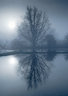 TreeReflection 081_0218