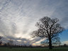 Mackerel Sky