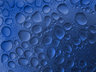 Water Droplets G037_1043