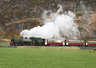 Steam Train