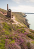 Wheal Coates