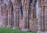 Whitby Abbey