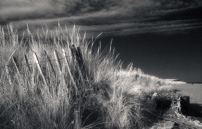 Hunstanton Dunes 493_09