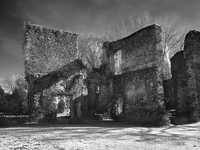 Sopwell Nunnery IR 513_12