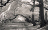 Ashridge 087_29