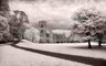 FountainsAbbeyIR_558_00