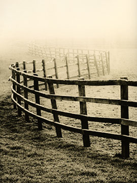 Fence 096_25