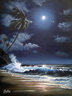 Moonlit surf