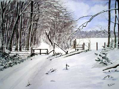 Ballinger Wood in Winter